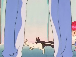 screenshot-anime-sailor-moon-sailor-stars-episode-192-469.jpg