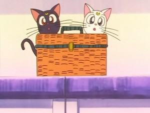 screenshot-anime-sailor-moon-sailor-stars-episode-192-475.jpg