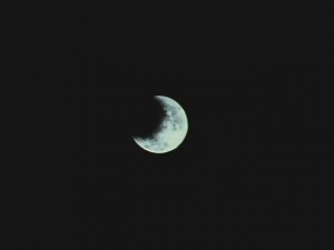 screenshot-anime-sailor-moon-sailor-stars-episode-199-469.jpg