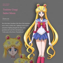 SMC_Usagi's_First_Conception.jpg
