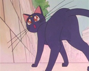 SailorMoon-s1-002(434).JPG