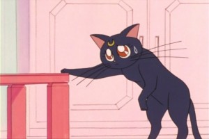 SailorMoon-s1-007(123).jpg