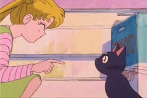 SailorMoon-s1-007(224).jpg