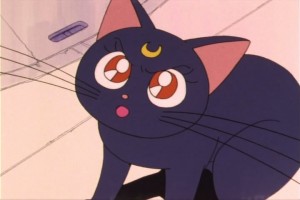 SailorMoon-s1-007(228).jpg