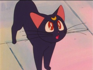 SailorMoon-s1-023(263).jpg