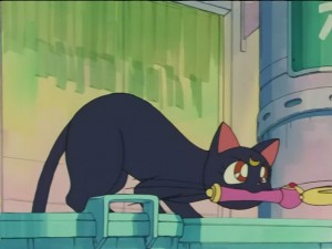 SailorMoon-s1-028(221).JPG