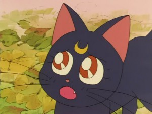 SailorMoon-s1-030(226).JPG