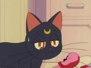 SailorMoon-s1-030(282).JPG