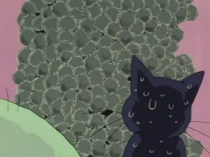 SailorMoon-s1-031(447).JPG