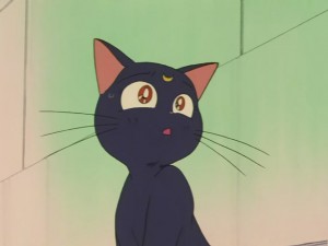SailorMoon-s1-031(45).JPG