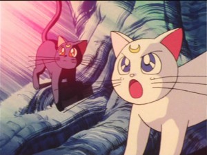 SailorMoon-s1-034(438).jpg