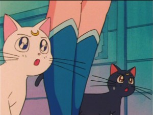 SailorMoon-s1-036(404).jpg