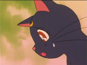 SailorMoon-s1-036(47).jpg