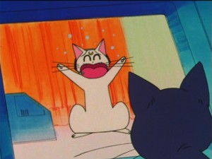 SailorMoon-s1-037(110).jpg