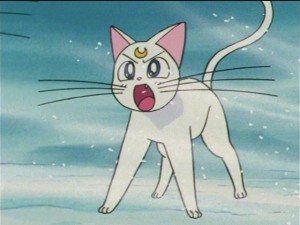 SailorMoon-s1-044(419).JPG