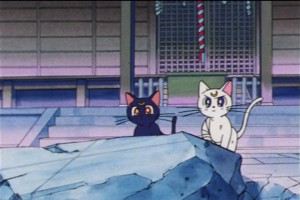 SailorMoon-s1-045(76).jpg