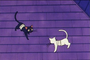 SailorMoon-s1-046(300).jpg