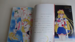 SailorV-07.jpg