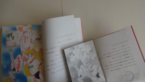 SailorV-16.JPG