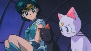 Sailormoon-R (929).jpg