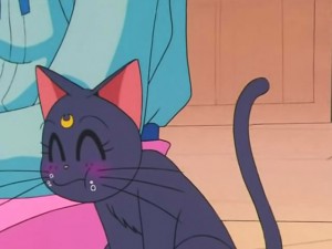 screenshot-anime-sailor-moon-s-episode-091-206.jpg