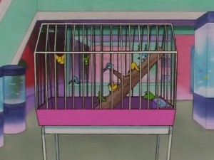 screenshot-anime-sailor-moon-sailor-stars-episode-178-344.JPG
