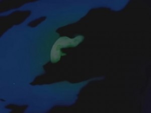 screenshot-anime-sailor-moon-sailor-stars-episode-190-006.jpg