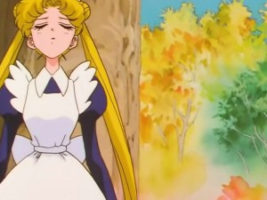 screenshot-anime-sailor-moon-sailor-stars-episode-193-479.jpg