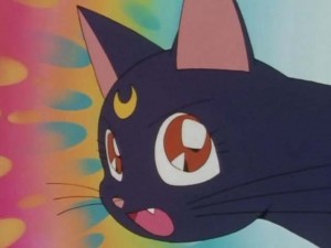 SailorMoon-s1-001(320).jpg