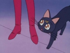 SailorMoon-s1-001(440).jpg