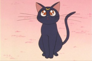 SailorMoon-s1-007(105).jpg