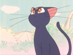 SailorMoon-s1-011(235).jpg