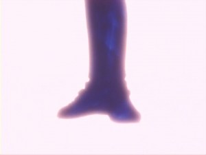 SailorMoon-s1-012(153).jpg