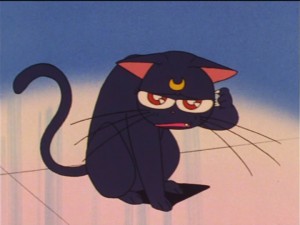 SailorMoon-s1-023(144).jpg