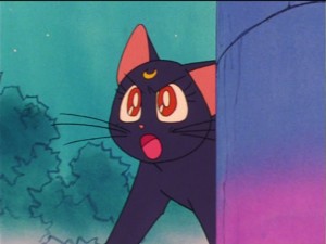 SailorMoon-s1-023(321).jpg