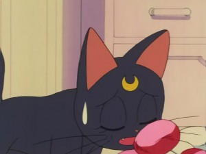 SailorMoon-s1-030(281).JPG