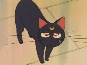 SailorMoon-s1-031(175).JPG