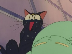 SailorMoon-s1-031(450).JPG