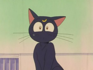 SailorMoon-s1-031(55).JPG