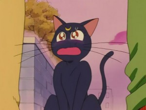 SailorMoon-s1-031(599).JPG