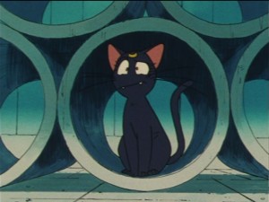 SailorMoon-s1-033(454).JPG