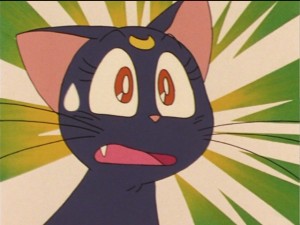SailorMoon-s1-033(90).JPG