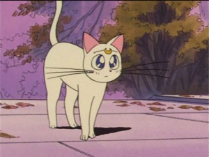 SailorMoon-s1-034(151).jpg