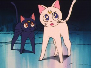 SailorMoon-s1-035(219).jpg