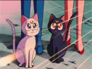SailorMoon-s1-035(432).jpg