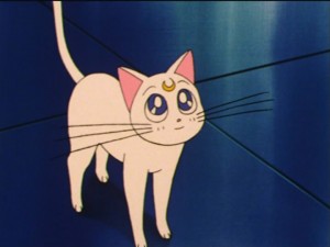 SailorMoon-s1-035(96).jpg