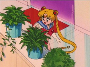SailorMoon-s1-036(254).jpg