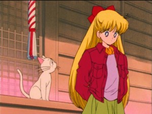 SailorMoon-s1-037(177).jpg