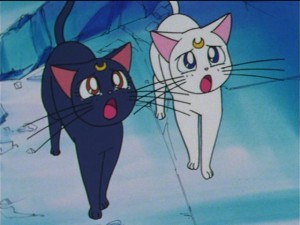 SailorMoon-s1-044(440).JPG