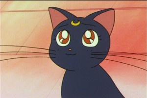 SailorMoon-s1-046(436).jpg